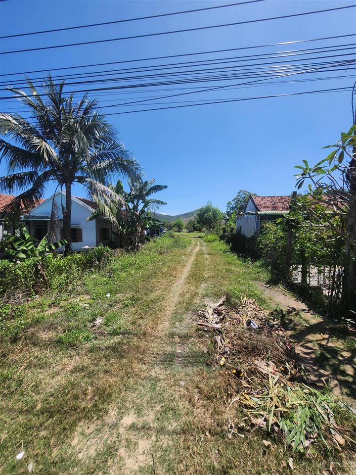 Cần bán lô đất mặt tiền đt6 ninh xuân, ninh hòa