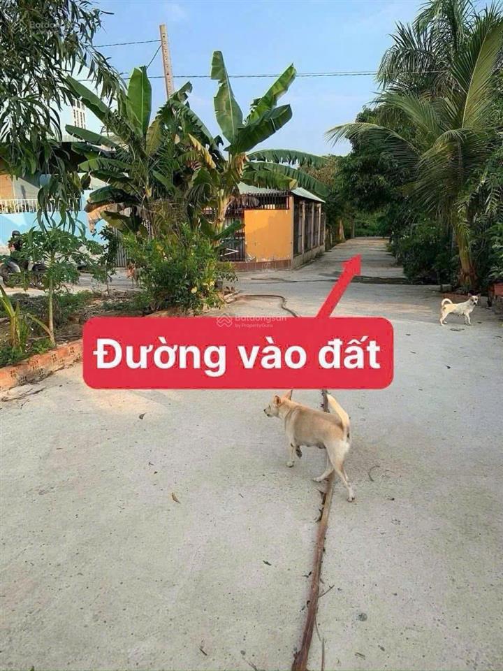 Chính chủ bán gấp đất thổ đại phước nhơn trạch ngay cầu cát lái, phú mỹ 2 giá rẻ 3,5tr/m2, gọi ngay