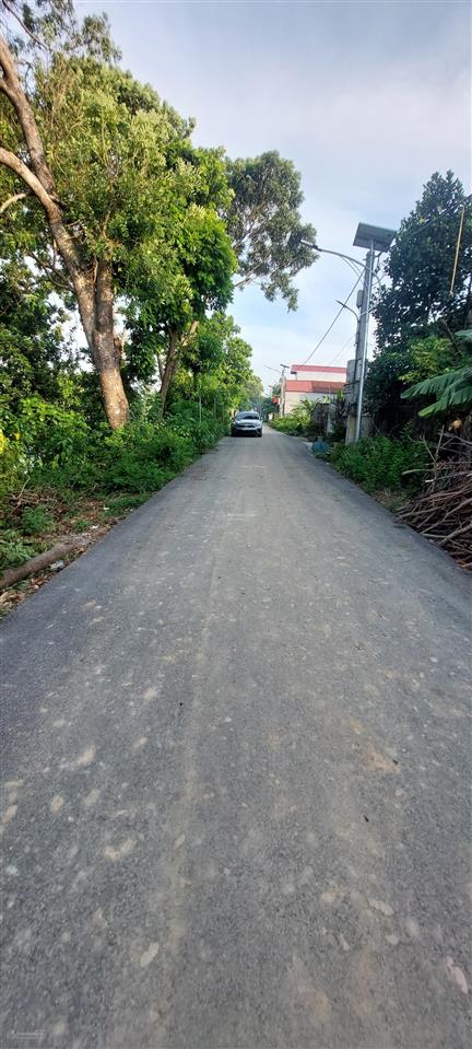 Bán nhanh đất ứng hòa ô tô tránh, chính kinh doanh gần đường cenco5 90m2, mt 5.5m chỉ 3.1 tỷ.