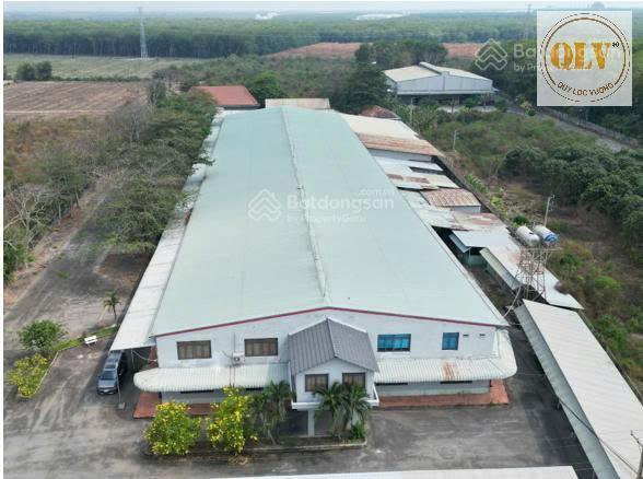 Bán nhà xưởng tại bến cát, bình dương 7.713 m²