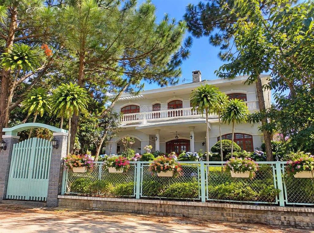 Chiếc villa xưa view thông xanh diện tích lớn trung tâm