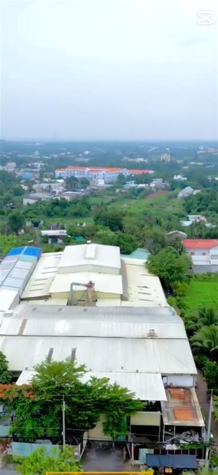 Bán kho, nhà xưởng tại mt võ văn bích, bình mỹ, củ chi, 69 tỷ, 4500m2, giá ưu đãi khi gặp chủ