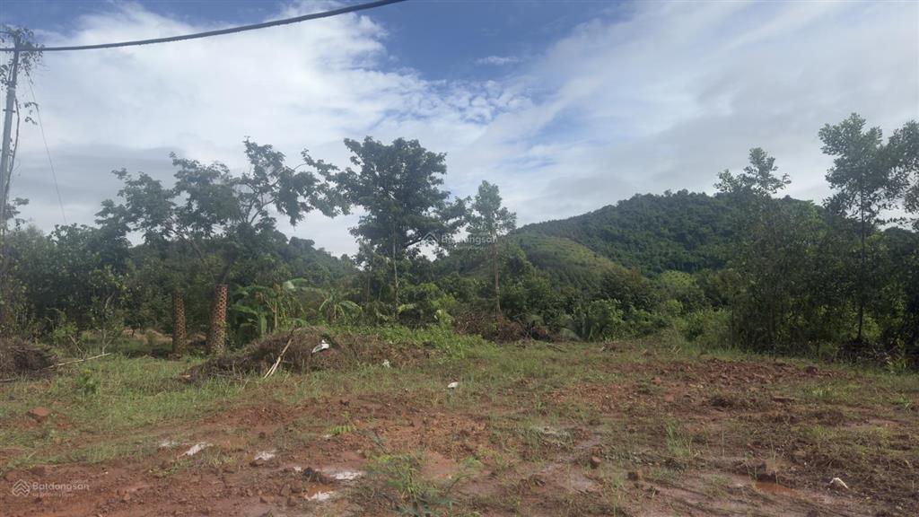 Bán đất tại xã phú an, tân phú, đồng nai, 2,5 tỷ, 1400 m2 đẹp, thích hợp nghỉ dưỡng và đầu tư