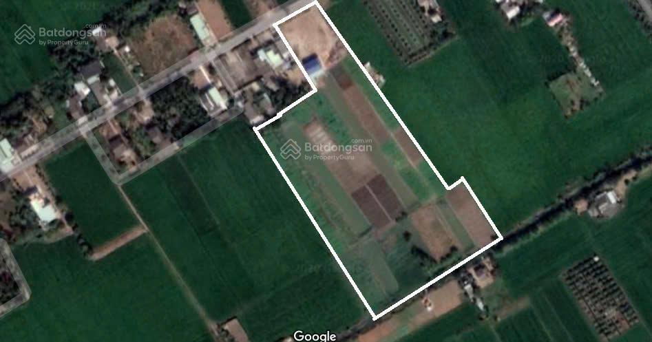 Bán 16.500m2 đất mặt tiền hl11, gò công tây, tiền giang
