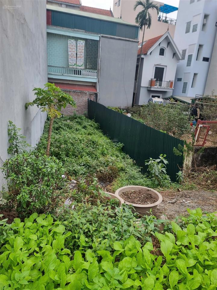 Chính chủ bán đất mặt đường an dương vương phú thượng tây hồ view trọn sông hồng, 16.5 tỷ
