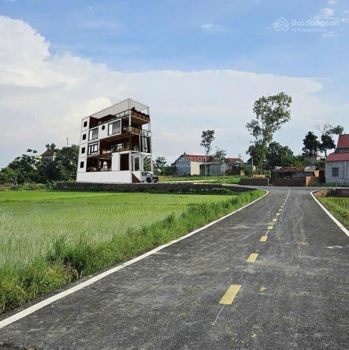 Chính chủ bán đất vụ bản minh trí kim anh hà nội