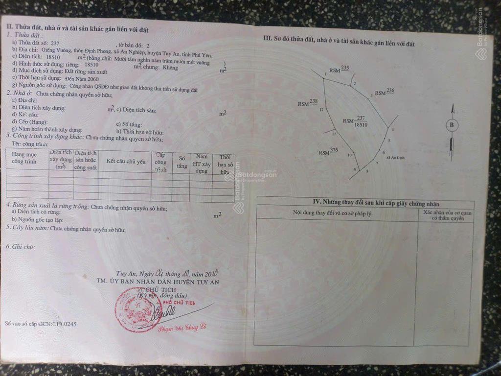 Cực rẻ, chỉ 75 triệu mua được 1,85ha đất rừng sản xuất