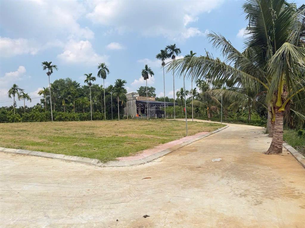 Chính chủ cần tiền bán mảnh đất kiên thọ thanh hóa giá rẻ trên thị trường