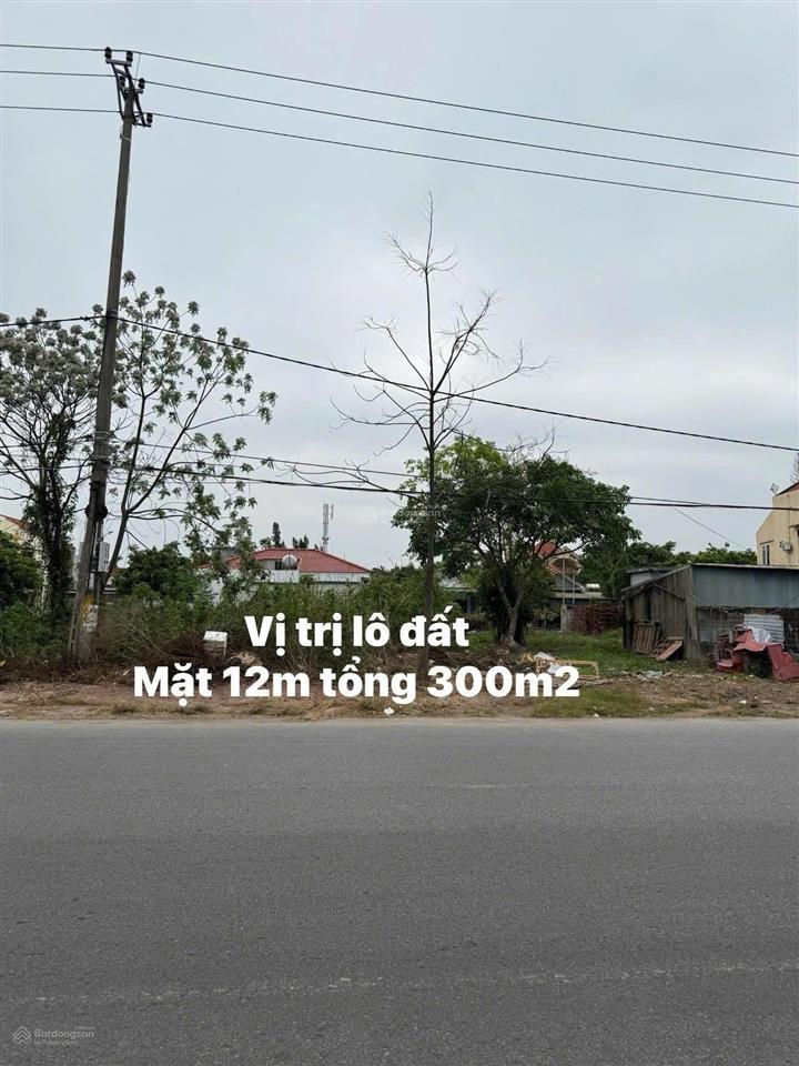 Bán đất tại tràng vĩ, móng cái 1, quảng ninh, 7 tỷ, 300 m2