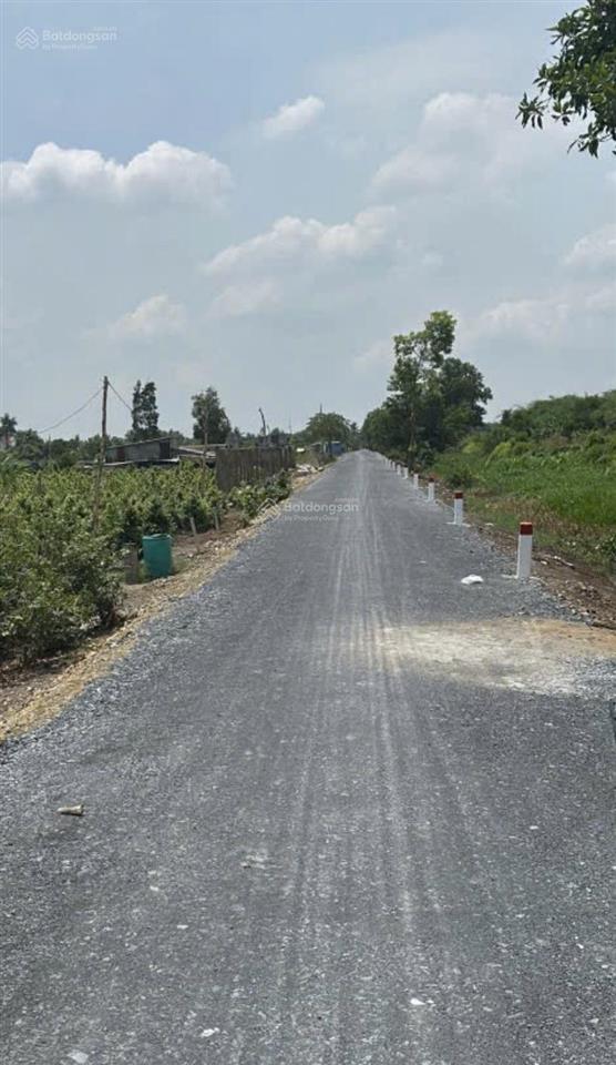 Đất bán mt kênh 6 vườn thơm, xã bình lợi, huyện bình chánh, 9130m2 (51m x 180m), sổ sẵn