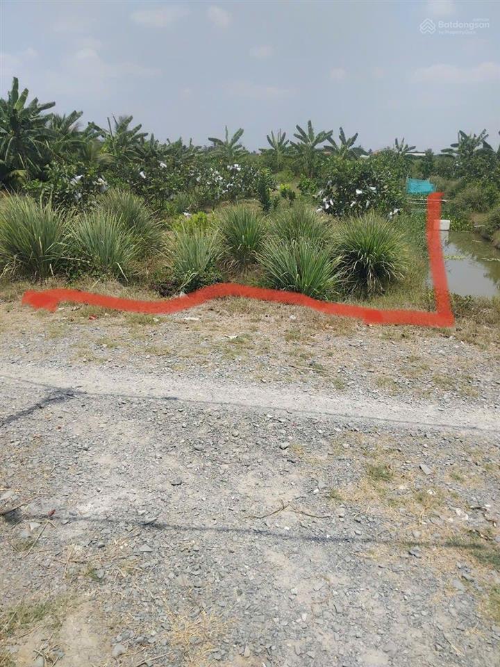 Bán nhanh đất thổ cư 20x37m, hẻm xe hơi châu thành, long an, sổ sẵn