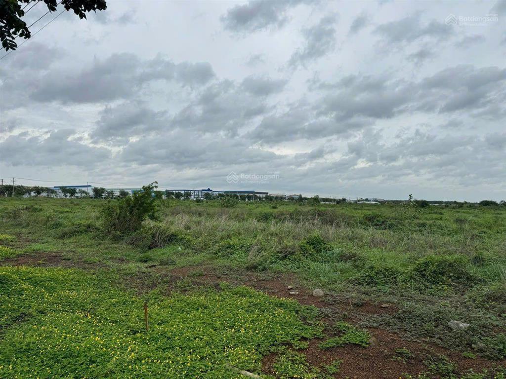 Bán đất kcn giang điền 30.501 m2 chỉ 170 usd/m2