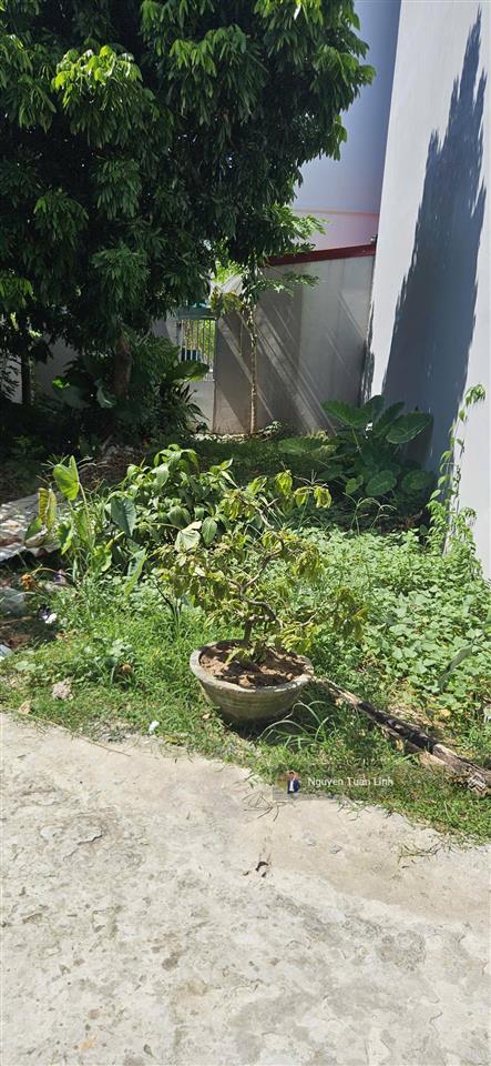 Sót lại! đất vàng 46m2 đại đồng, đại mạch giá tốt vios đỗ cửa
