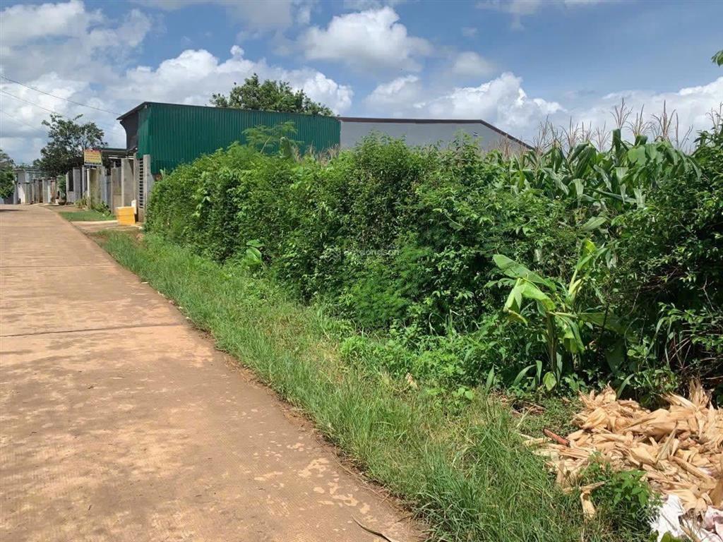 Chính chủ cần bán lô đất hẻm 93 nguyễn khoa đăng, phường thành nhất 0909 052 *** nguyệt