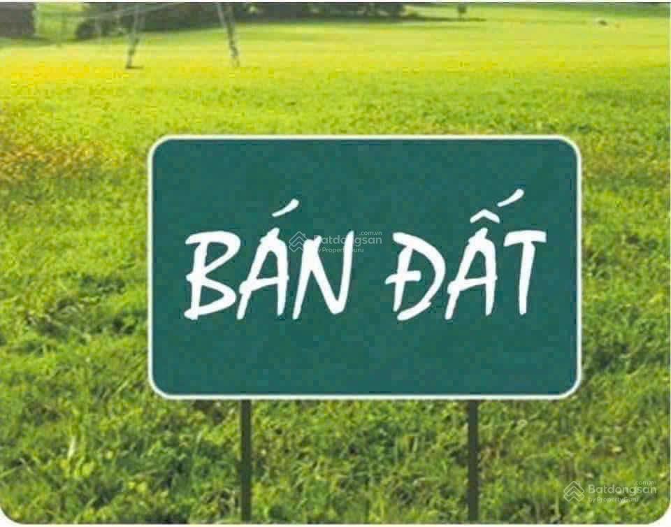 Bán đất dịch vụ sơn đồng tiên phương chương mỹ. vị trí bám trục mặt đường ql6 dt 57m giá 3,3 tỷ