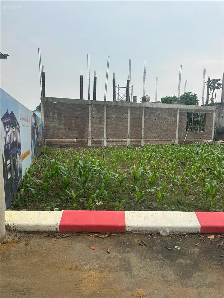 Bán đất thổ cư & đất vườn diện tích 252m2, mặt tiền 7m, đường ô tô tránh. giá 17 triệu/m2