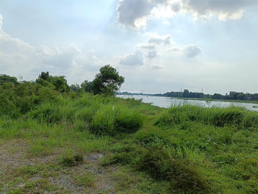 Siêu phẩm ven sông sài gòn củ chi, 4.3 hecta, 82m mặt tiền sông, tọa độ vàng cho dự án nghỉ dưỡng