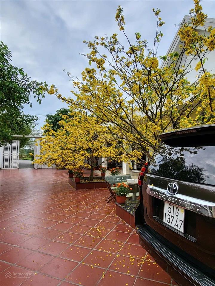 Bán nhà vườn 2200m2,sổ hồng riêng,có thổ cư 200m2,cách cao tốc bến lức long thành 1,5km,hưng long