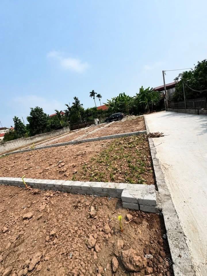 Giá sốc đất bạch hạ phú xuyên 80m vuông đẹp chỉ 1,85 tỷ