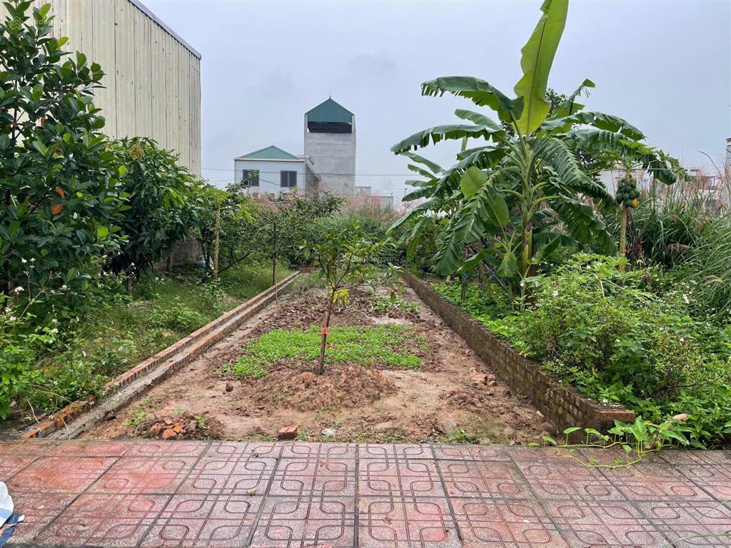 Chủ mua đỉnh, bán đáy. ace quan tâm alo em 6 tỷ thôi