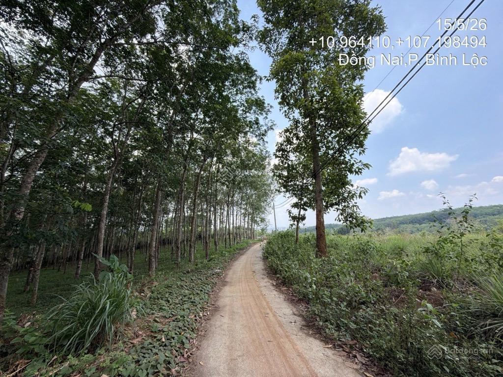 Ngân hàng thanh lý bất động sản hẻm suối tre bình lộc, phường bình lộc, tỉnh đồng nai