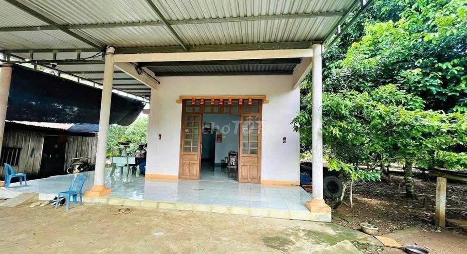 Đất vườn trái cây nhà cấp 4 ở Bình Dương, 2541m2, thổ cư, giá 680tr