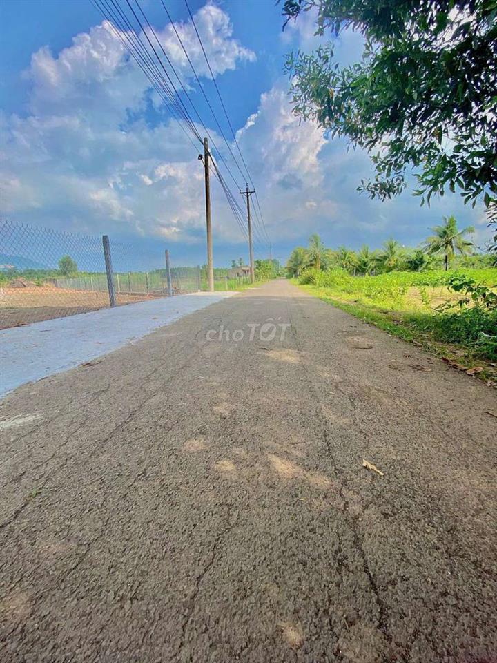 bán đất góc 2 mặt tiền nhựa diện tích lớn giáp phường Bảo Vinh