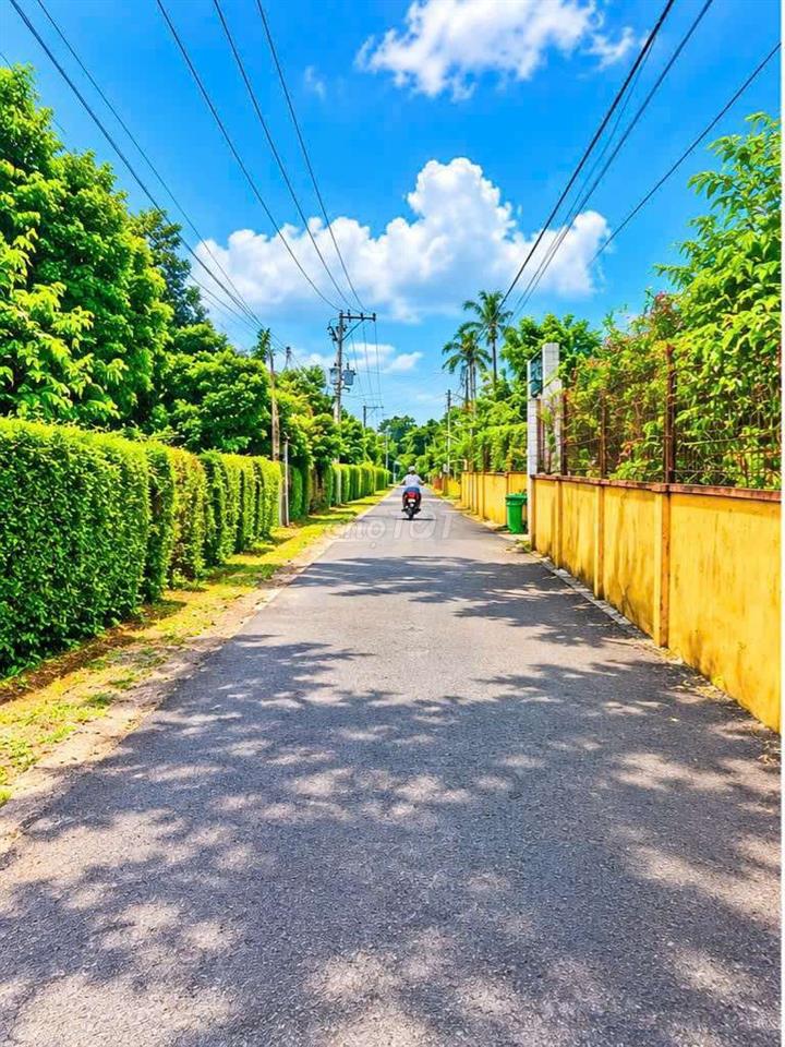 bán đất mặt tiền nhựa giáp phường Bảo Vinh