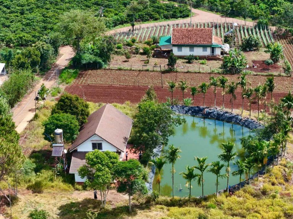 Cần Bán Đất Nam Hà 2.298m², 350m² Thổ Cư, Tặng Nhà, View Toàn Cảnh
