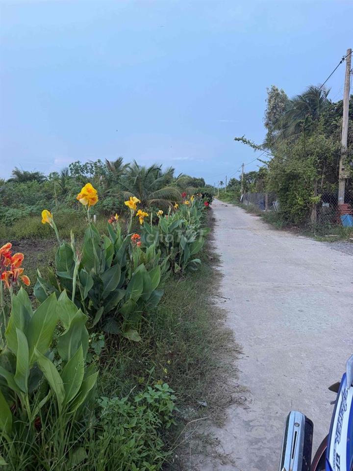 đất thổ đức huệ long an giá rẻ