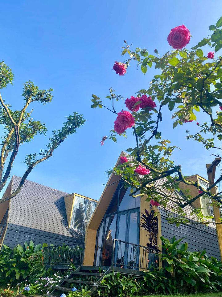 🌳 LÔ ĐẤT LỚN DÀNH CHO NGƯỜI CẦN NHIỀU KHÔNG GIAN