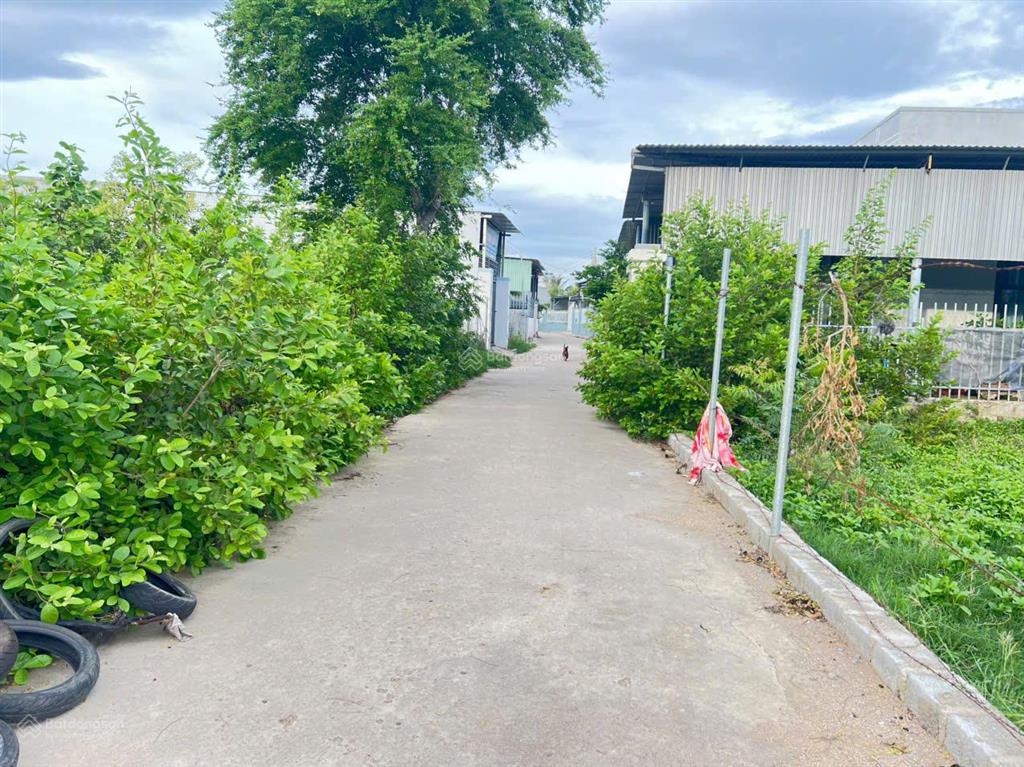 Bán đất lô đất thổ cư 2 mặt tiền đường oto giá chỉ 4,5triệu/m2 cách bãi biển ninh chử 3 phút lái xe