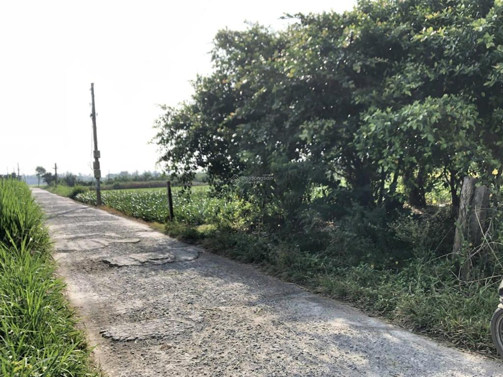 Bán đất tại xã tân thành, huyện gò công đông, tiền giang, giá tốt 800 triệu, 500m2