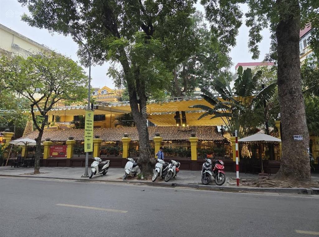 Mặt phố phan bội châu cửa nam, bán nhà 110m2 x 4,5m, nhỉnh 61 tỷ tl