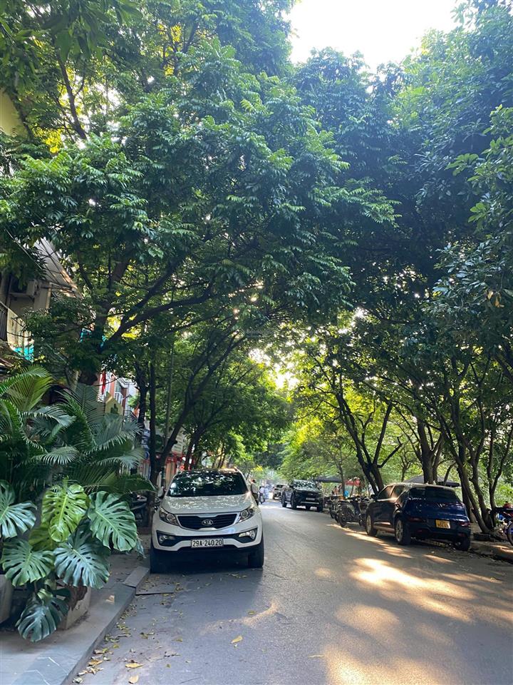 Cực phẩm lk làng việt kiều châu âu 77m, 5 tầng, view vườn hoa thoáng vĩnh viễn, chủ cần bán rất gấp