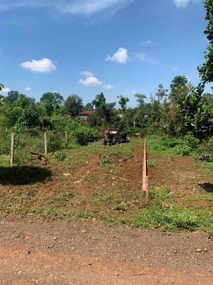 bán đất cu suê giá ngợp