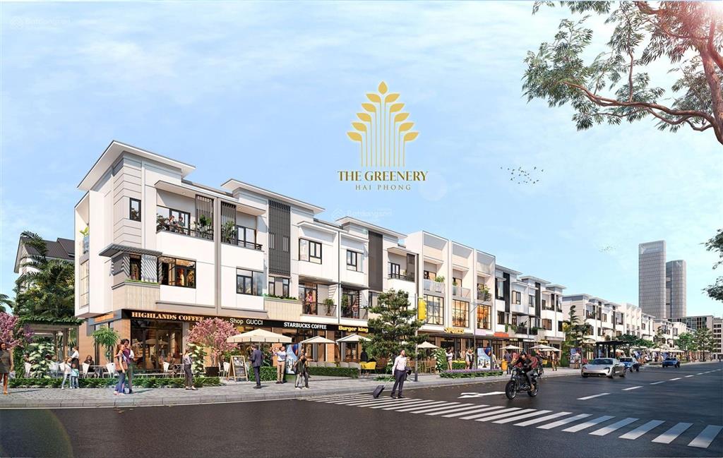 Bán nhà phố shophouse 3 tầng 80 m2 tại dự án the greenery hải phòng kinh doanh được luôn