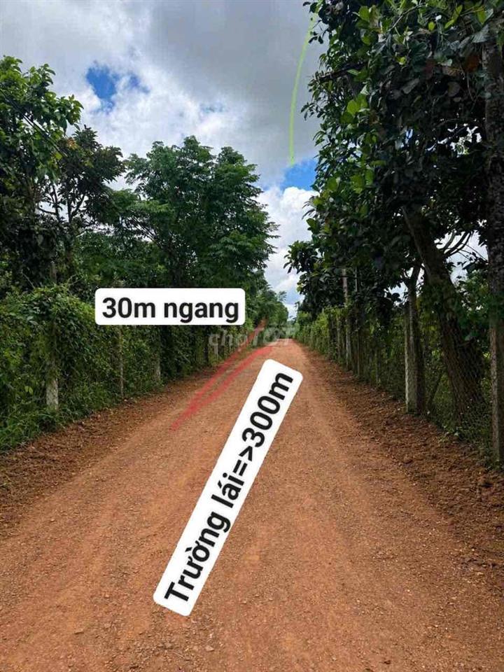 bán đất thổ cư gia đình