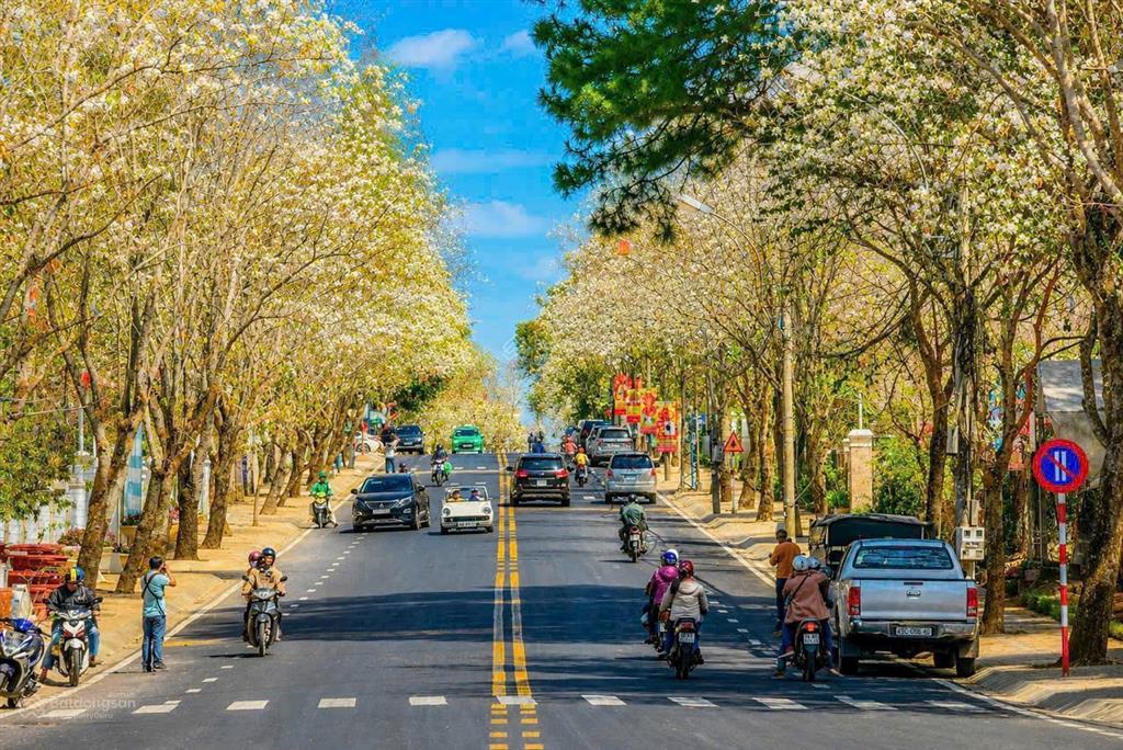 Sở hữu lô đất mặt tiền cực hiếm đường quang trung tại tp đà lạt