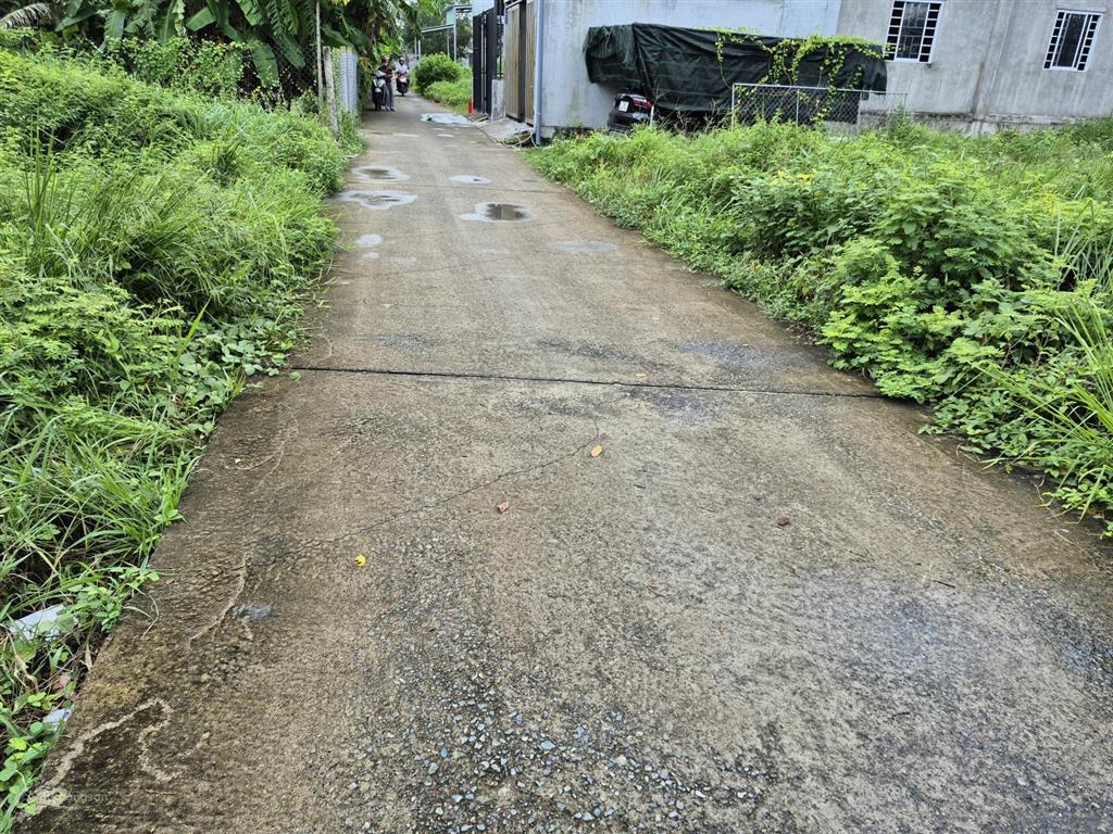 Bán đất tại phước hòa, thị xã phú mỹ, bà rịa vũng tàu giá 1,45 tỷ, 85,5 m2 đất thổ cư