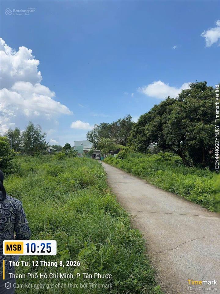 Đấu giá tài sản tại phường tân phước, thành phố hồ chí minh.