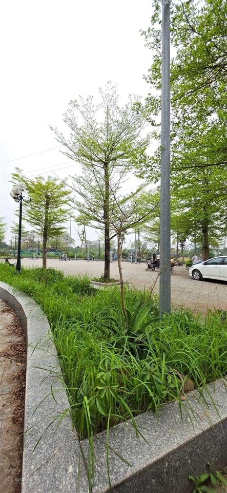 Đất tái định cư thường tín, hà nội 110m2, giá 10,7 tỷ