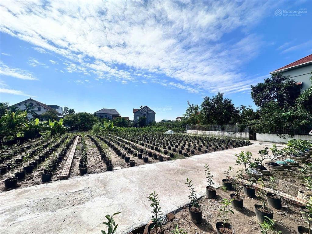 Bán đất ân thi hưng yên 550tr sát kcn ân thi 0395 375 *** quang long