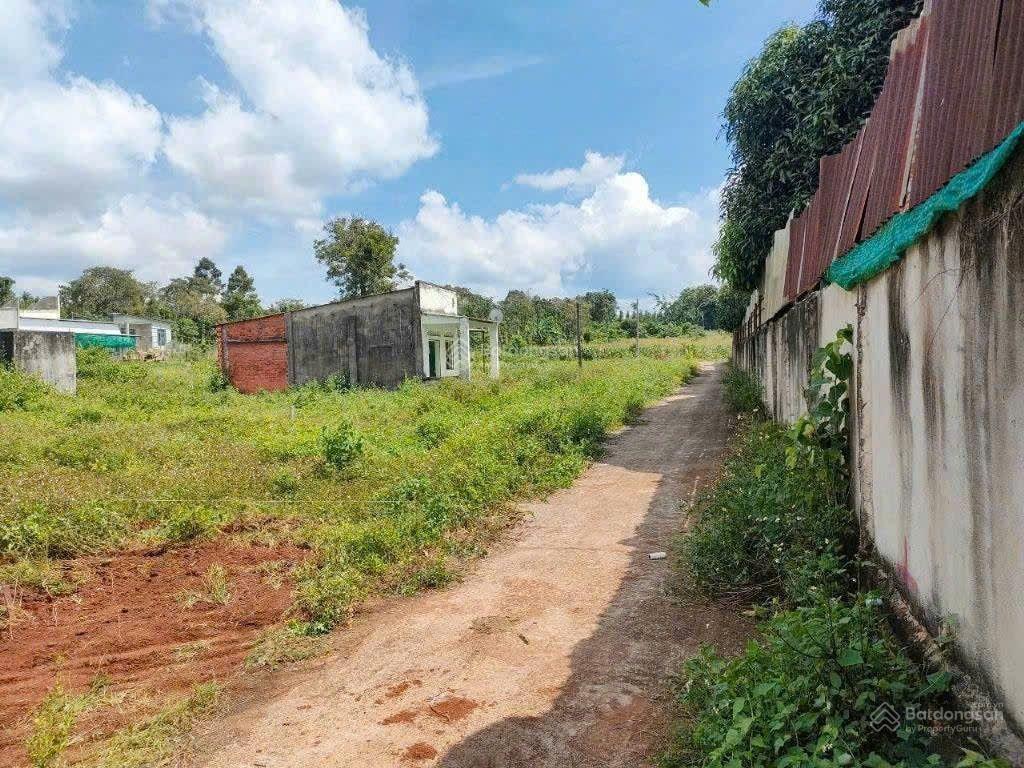 Chỉ 1,9 tỷ sở hữu 3 sổ riêng 3215m2 (1000 1215m2), bàu chinh, châu đức, brvt