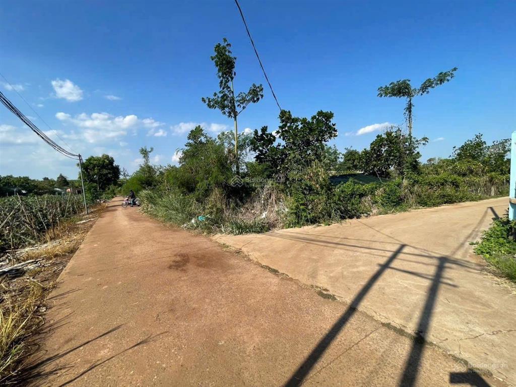 Cô chủ kẹt ra gấp 2,5 sào 100m2 tc