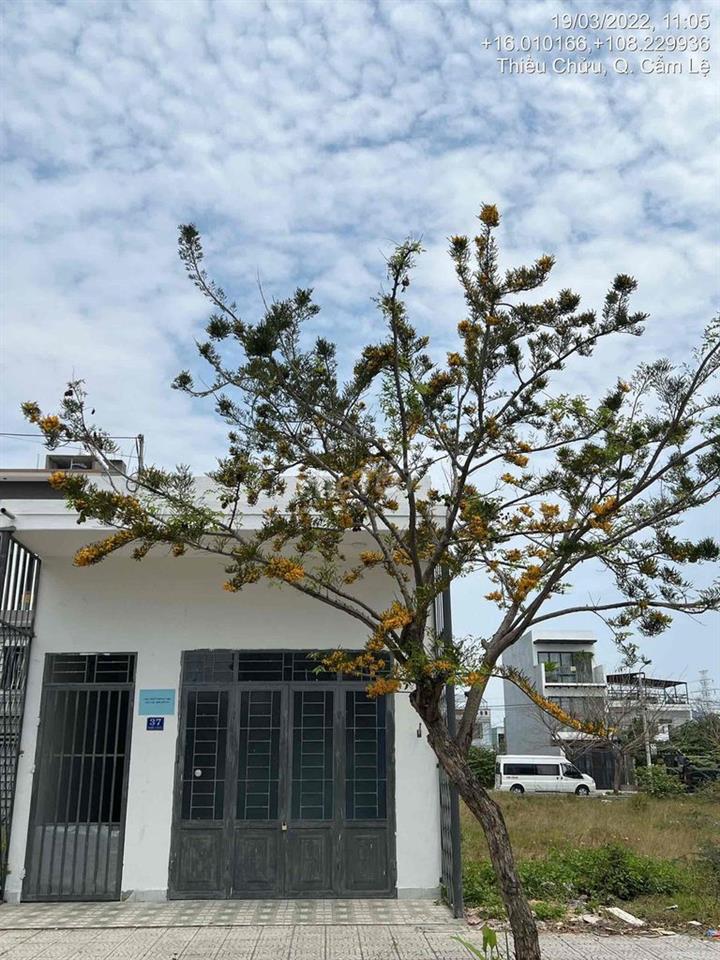 Bán đất và nhà trọ 37 Thiểu Chửu, phường Hoà Xuân, TP. Đà Nẵng
