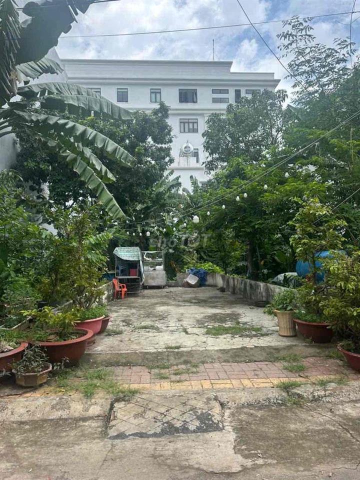 Đất Nội Bộ Vũng Tàu Giá Ngộp