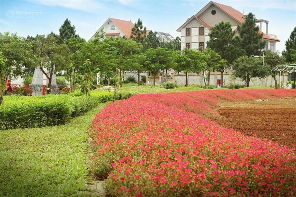 Cắt lỗ cực sâu, cần bán căn 200m2 mặt đường 24m to nhất dự án, giá chủ 80tr/m2