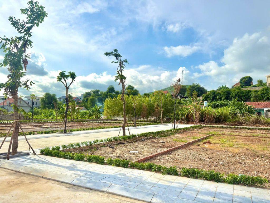 ĐẤT ĐẠI YÊN GIÁP VIN HẠ LONG XANH ĐÓN ĐẦU CHU KỲ TĂNG GIÁ TỪ ĐẠI ĐÔ THỊ VÀ GA TOD