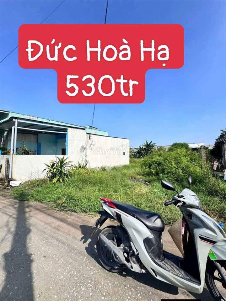 RẺ NHẤT ĐỨC HOÀ HẠ CHỢ CHIỀU TÂN ĐỨC